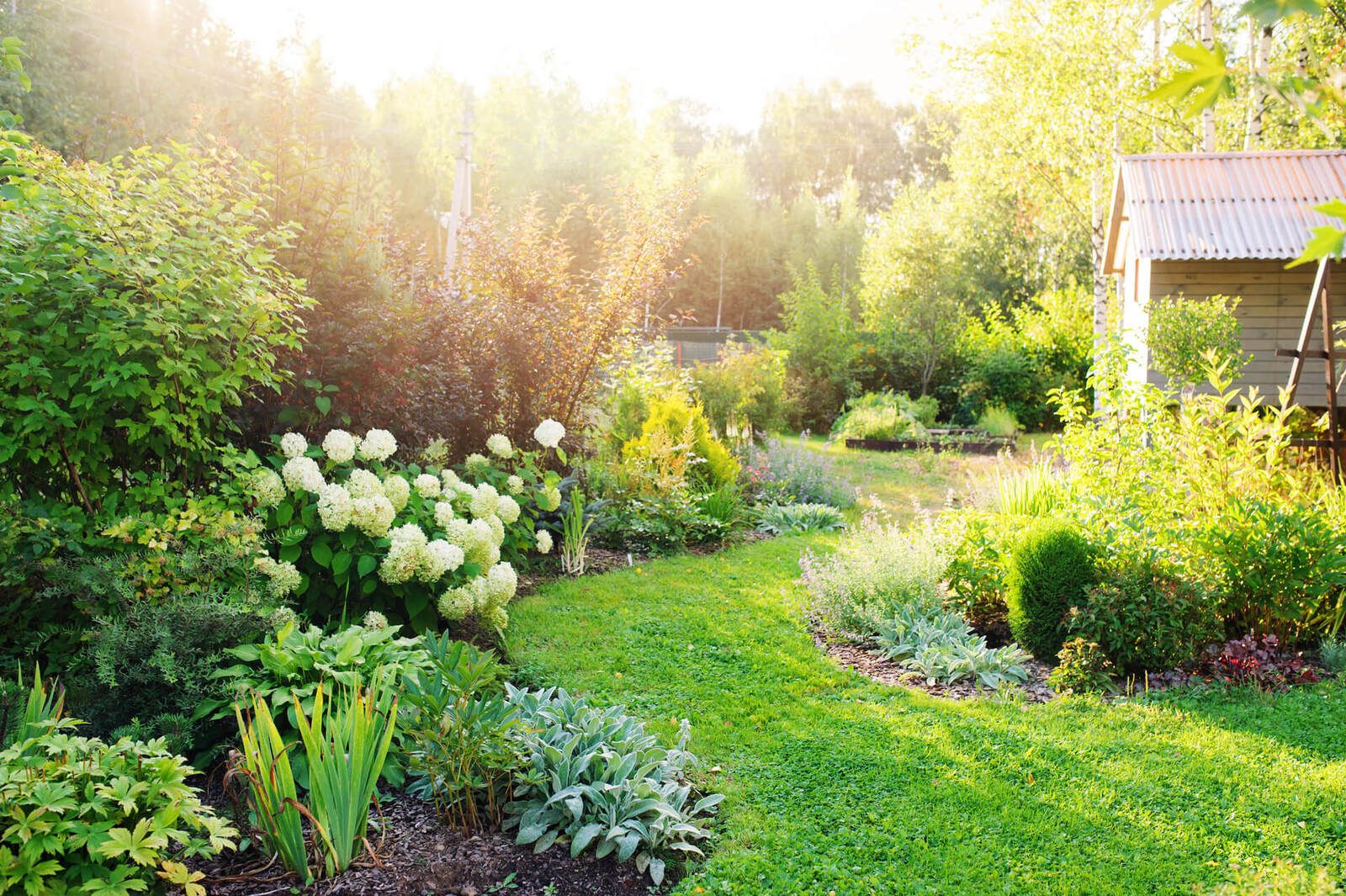 Gepflegter Garten mit Rasenweg und Blumenbeet